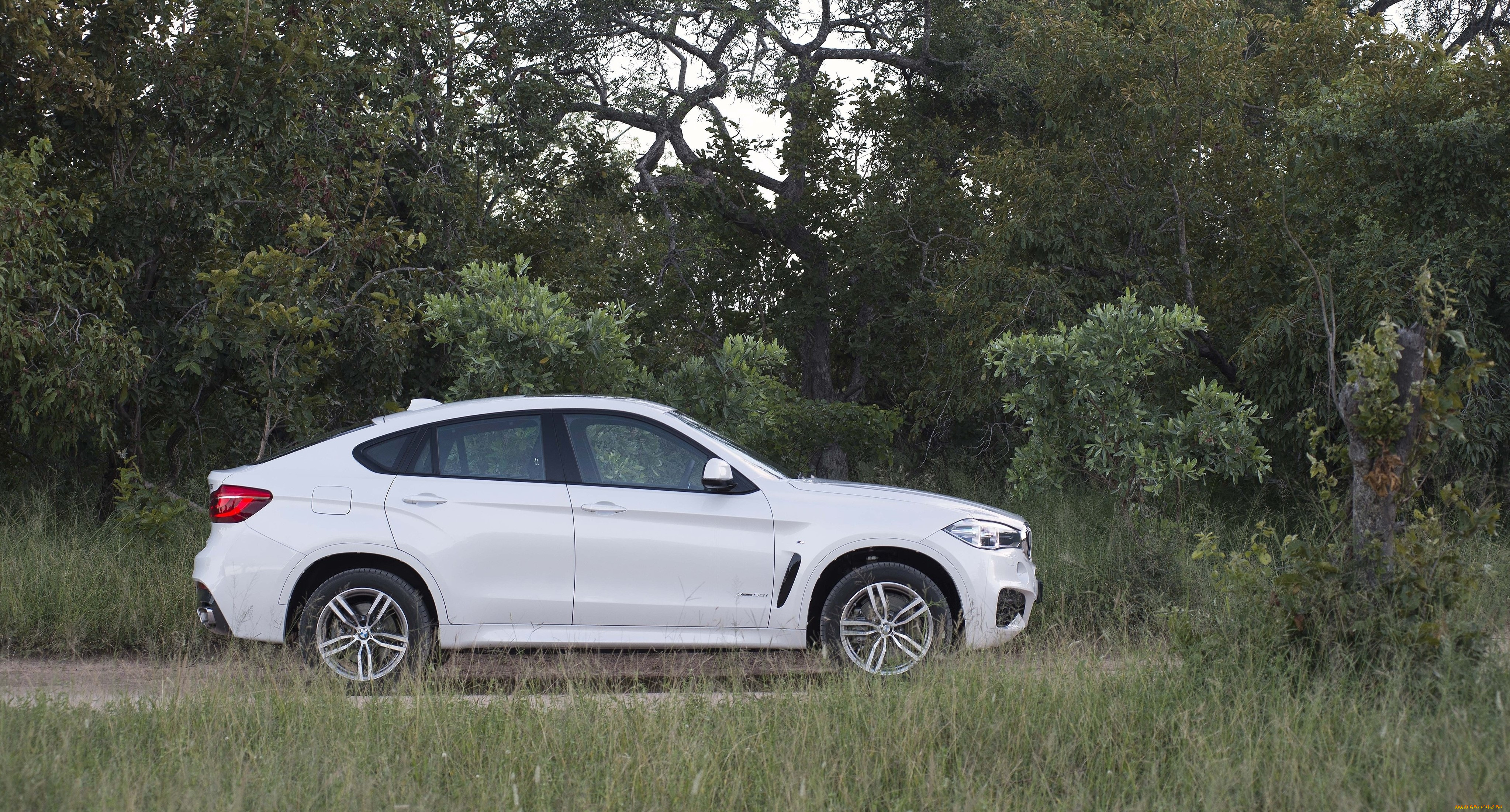 , bmw, sport, xdrive50i, m, x6, , 2015, f16, za-spec, package